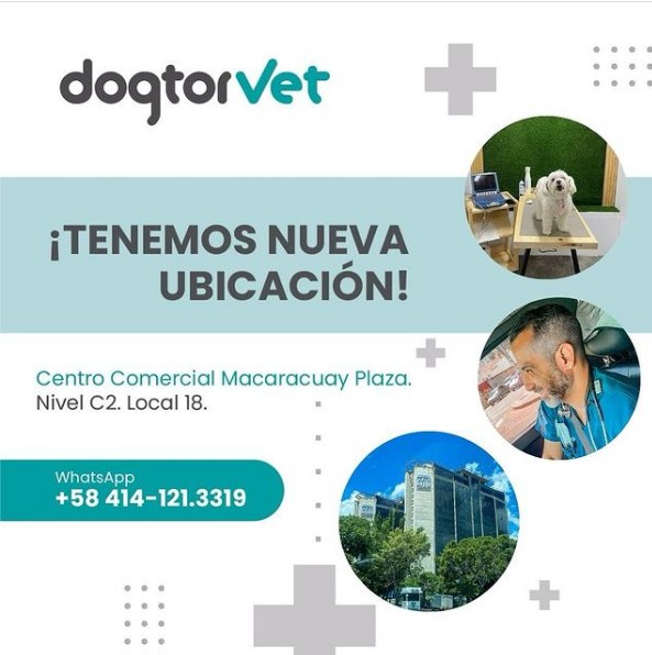 Fachada de Dogtor Vet